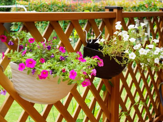 ハンギングバスケット