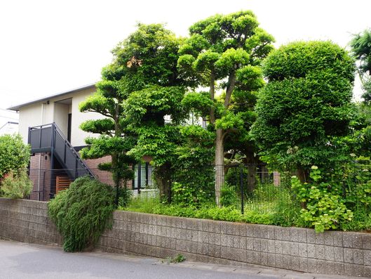 緑豊かな環境に立地