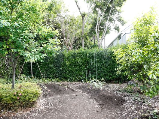 生活に緑とうるおいを