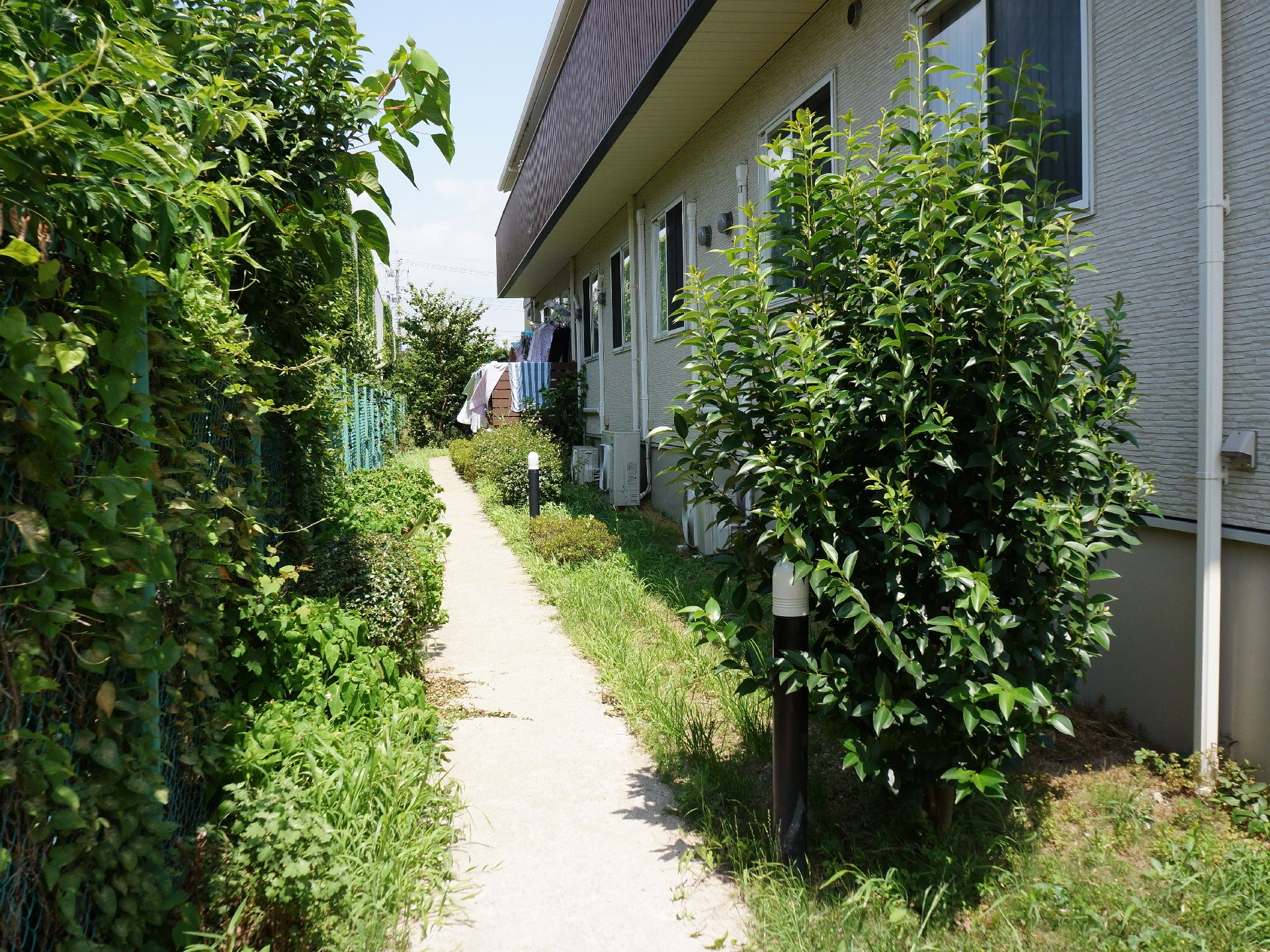 施設裏側の小道。隣の敷地とはフェンスで仕切られている。低木が植えてあり、屋外照明が数本あり、緑が多い。