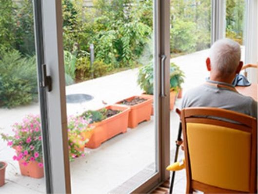 室内からの眺め