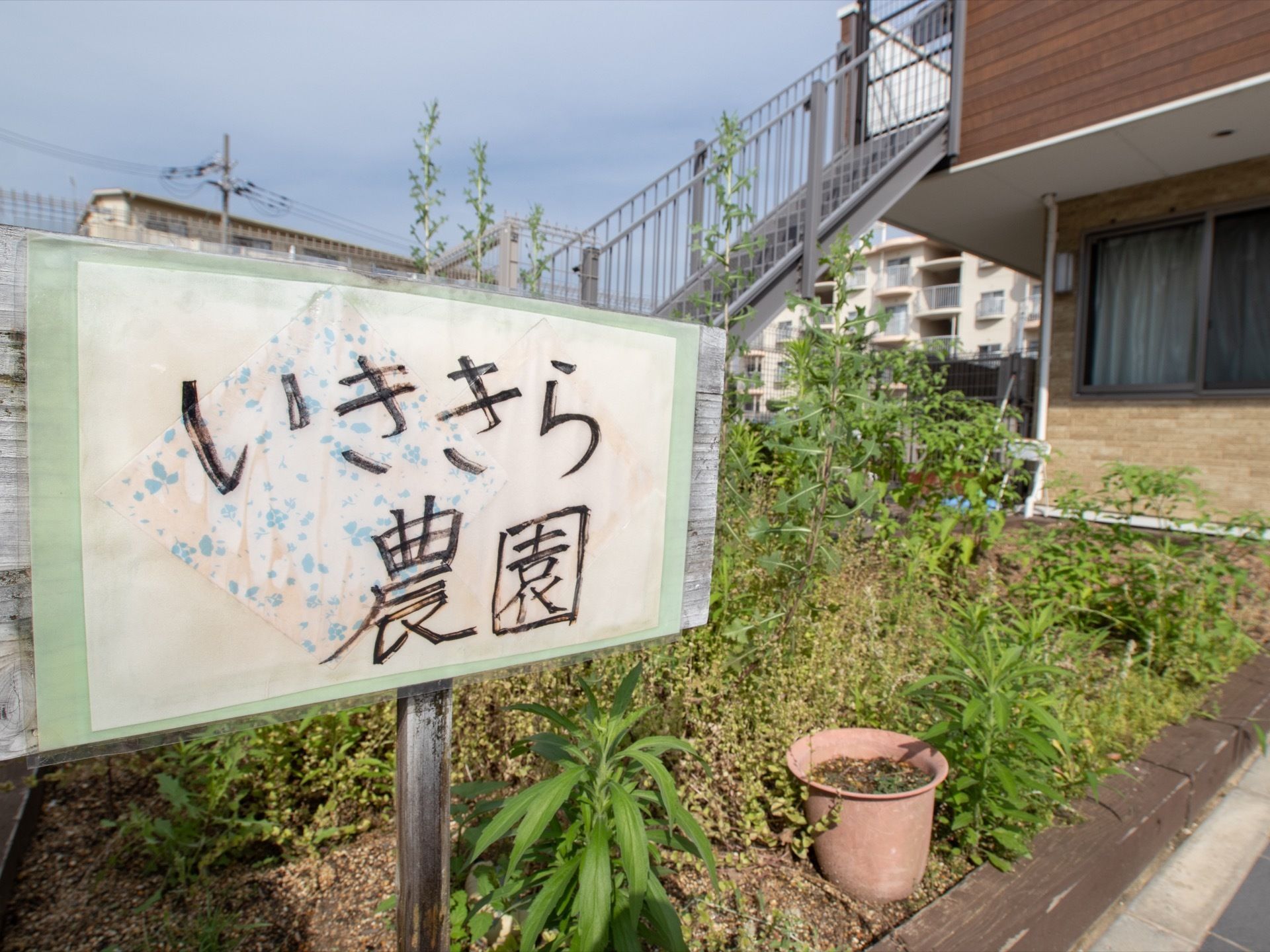 施設の前には農園がある。手書きの文字で農園の名前が書かれた看板が立っており、緑の植物が生い茂っている。