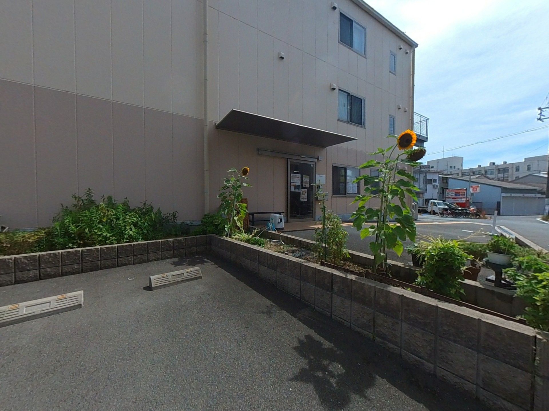入口付近の緑あふれる風景