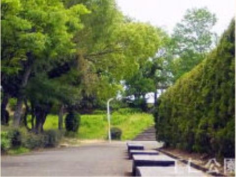 近隣になる緑豊かな王仁公園。