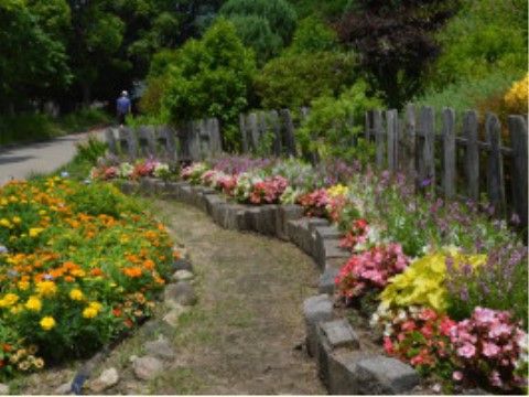 かわいらしい小花が咲く山田池公園の小路。