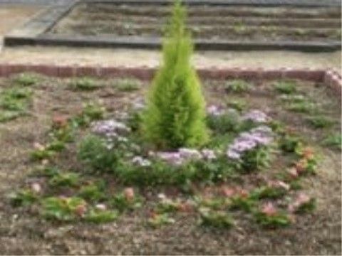 施設には中庭がある。小さな植物が植えられており、今後の成長を楽しむことができる。散歩をしながら外の風を感じることができる。