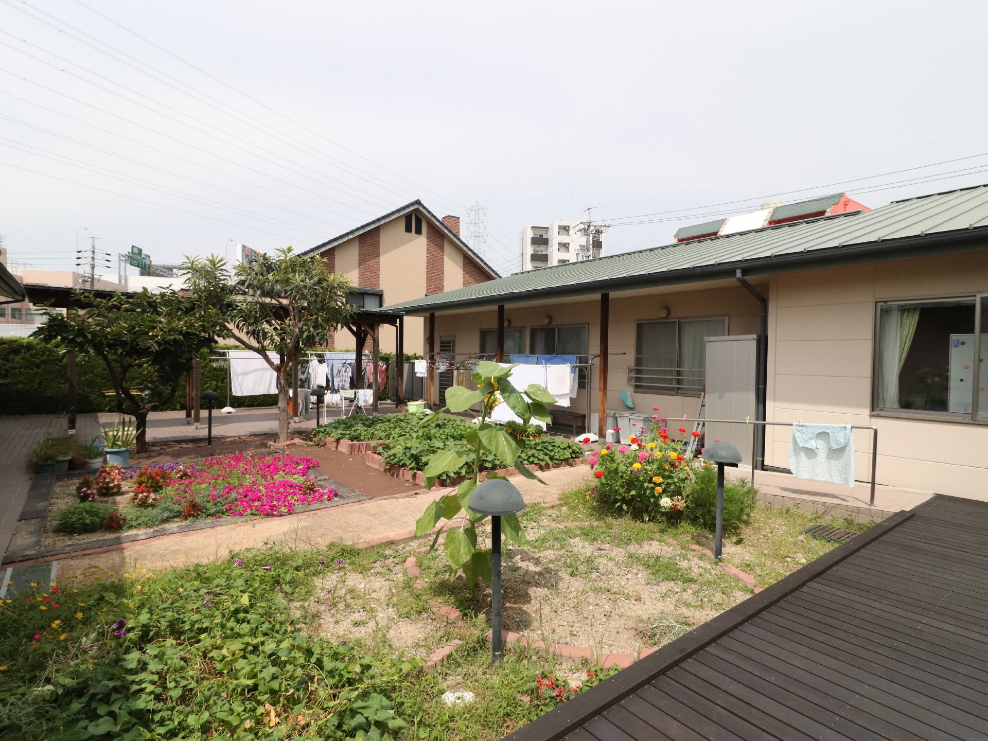 建物からすぐ出られるところに庭があり、花壇や畑が作られている。手前にウッドデッキがあり、日光浴にも最適である。