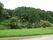 ホームと道路を挟んで向かい側にある風景。緑の稲の苗が一面に植えられた田園があり、その奥には緑の木々が生い茂っている。