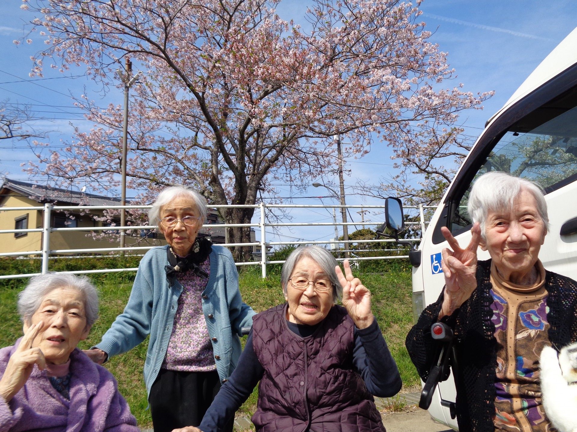 笑顔のお年寄りと桜