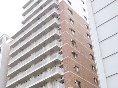 非常に背の高い構造の建物になっている。外壁はレンガ風の化粧パネルを使用しているが、最上３階部分は白くなっている。
