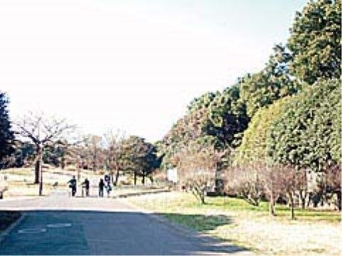 緑豊かな光が丘公園