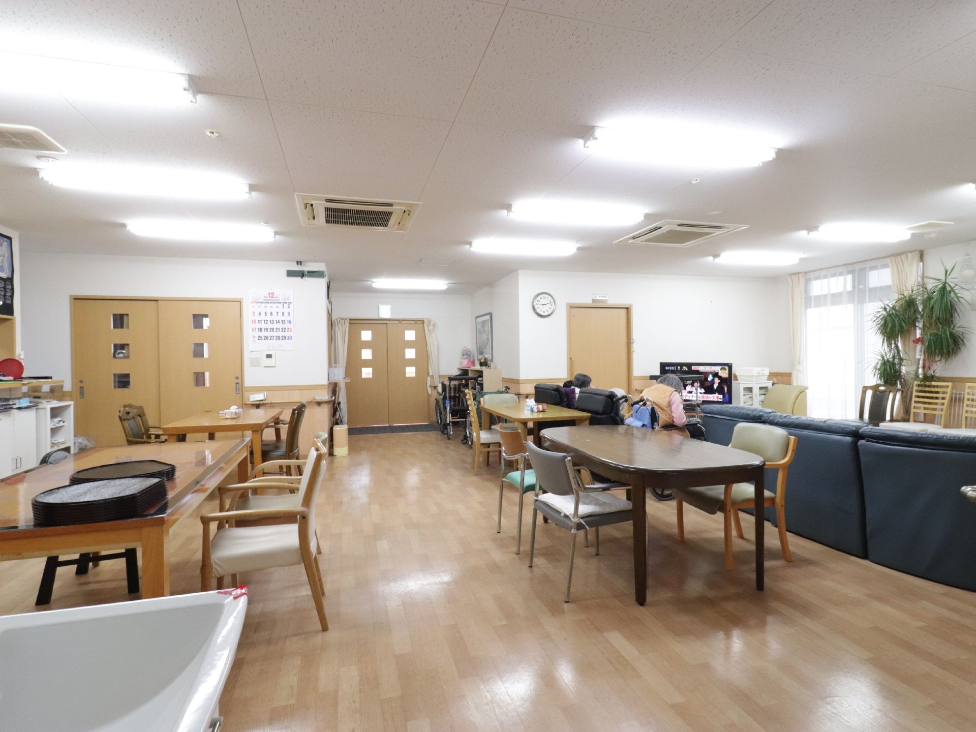 明るい食堂の右奥には、白いレースのカーテンが掛けられた大型の窓がある。すぐ横には、背の高い観葉植物が飾ってある。