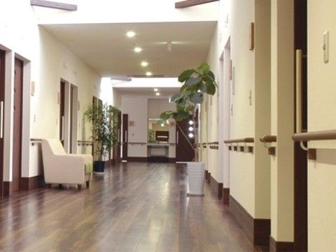 観葉植物が２つ置いてあり、１人掛けの白いソファーも設備されている長い廊下