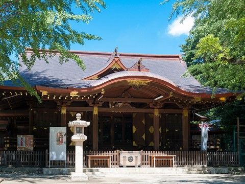 荘厳な社が建てられており、社の中央には賽銭箱がある。社の周辺には木が生い茂り、自然の溢れた場所である。