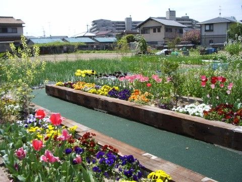 チューリップやパンジーなど数種類の花が色とりどり咲いている花壇