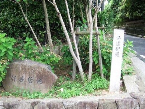 当施設への道路は緑が多く自然豊かな環境である。お散歩をお楽しみいただくなど健康維持にもご利用いただける。