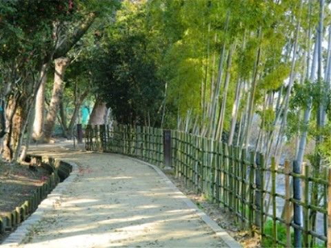 およそ３万年前にできた樹林である。竹で作られた柵や散歩道があり、自然を身近に感じながらお過ごしいただける。