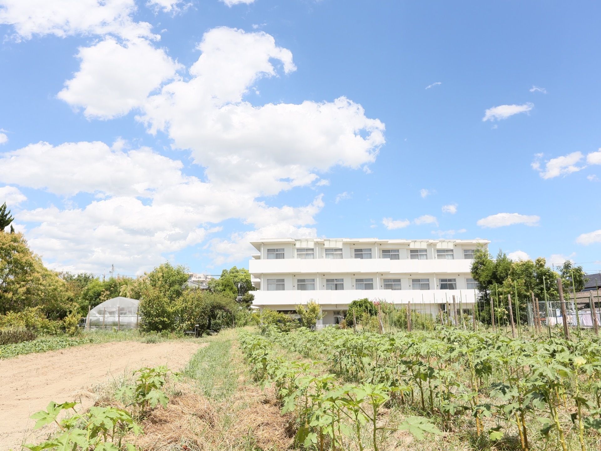 園芸やガーデニング、野菜の収穫を通して入居者様の心を癒しを図っていだけるよう、自然を大切にした空間。