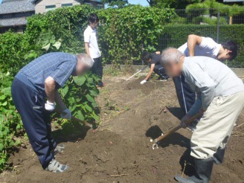 お天気の良い日に畑で、男性の２人の入居者様がスタッフと共に手に軍手をはめ、農機具持って土を耕している。