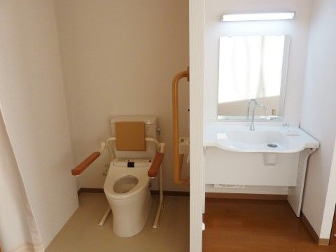 洗面台にはちょっとした物を置くスペースがある。便座の横と壁には手すりが付いているため、移動がしやすい。