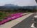 建物の前には砂利が敷き詰められ、その前には歩道が整備されている。歩道にそって芝桜が咲いており、とても綺麗である。