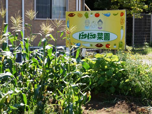 施設の菜園