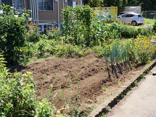 充分な広さのある菜園