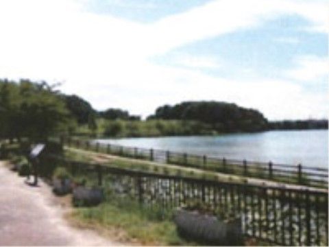 近くの公園は、大きな池のある自然溢れる環境で、リフレッシュするのに最適な場所になっている。駐車場も用意されている。