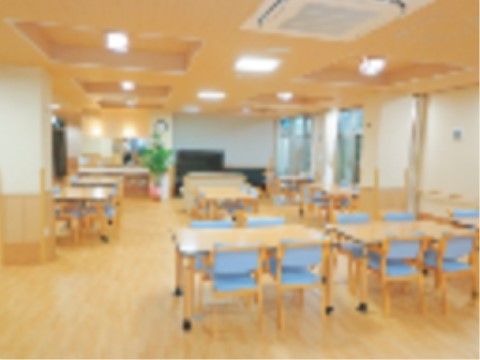天井に複数の照明が取り付けられた明るいリビング。テレビが設置されており、その横に観葉植物が置かれている。