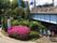 小さな川があり、その上に橋がかかっている。遊歩道が整備されており、樹木が植えられ自然を満喫することができる。