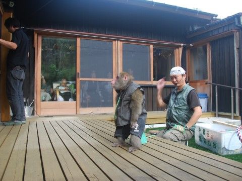 窓ガラス越しに観覧することができる、縁側で行われる猿回し