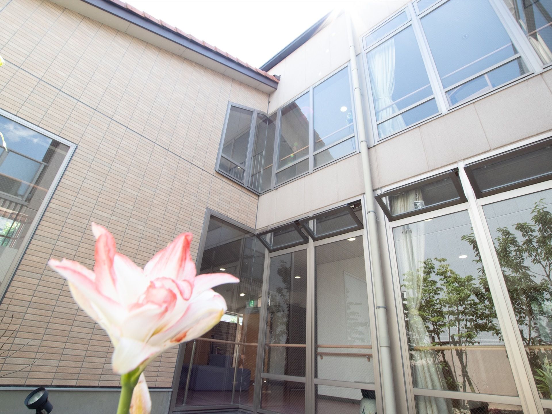 中庭に咲いている一輪の花と、見上げるように一階と二階の大きな窓がある。日差しが降り注ぎ、明るく開放的である。