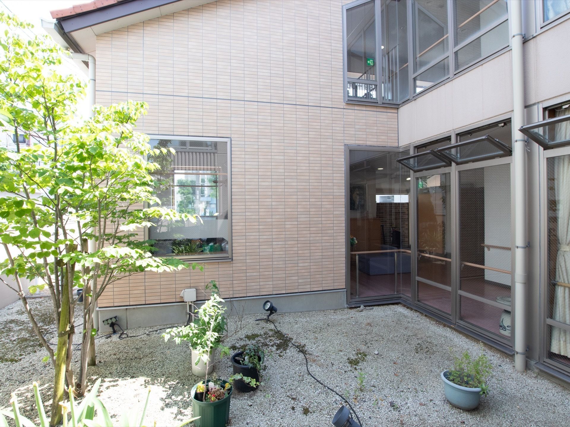 さまざまな植物が植えられている中庭。庭に面した廊下は全面ガラス張りで、上部分は開閉式になっていて換気ができる。