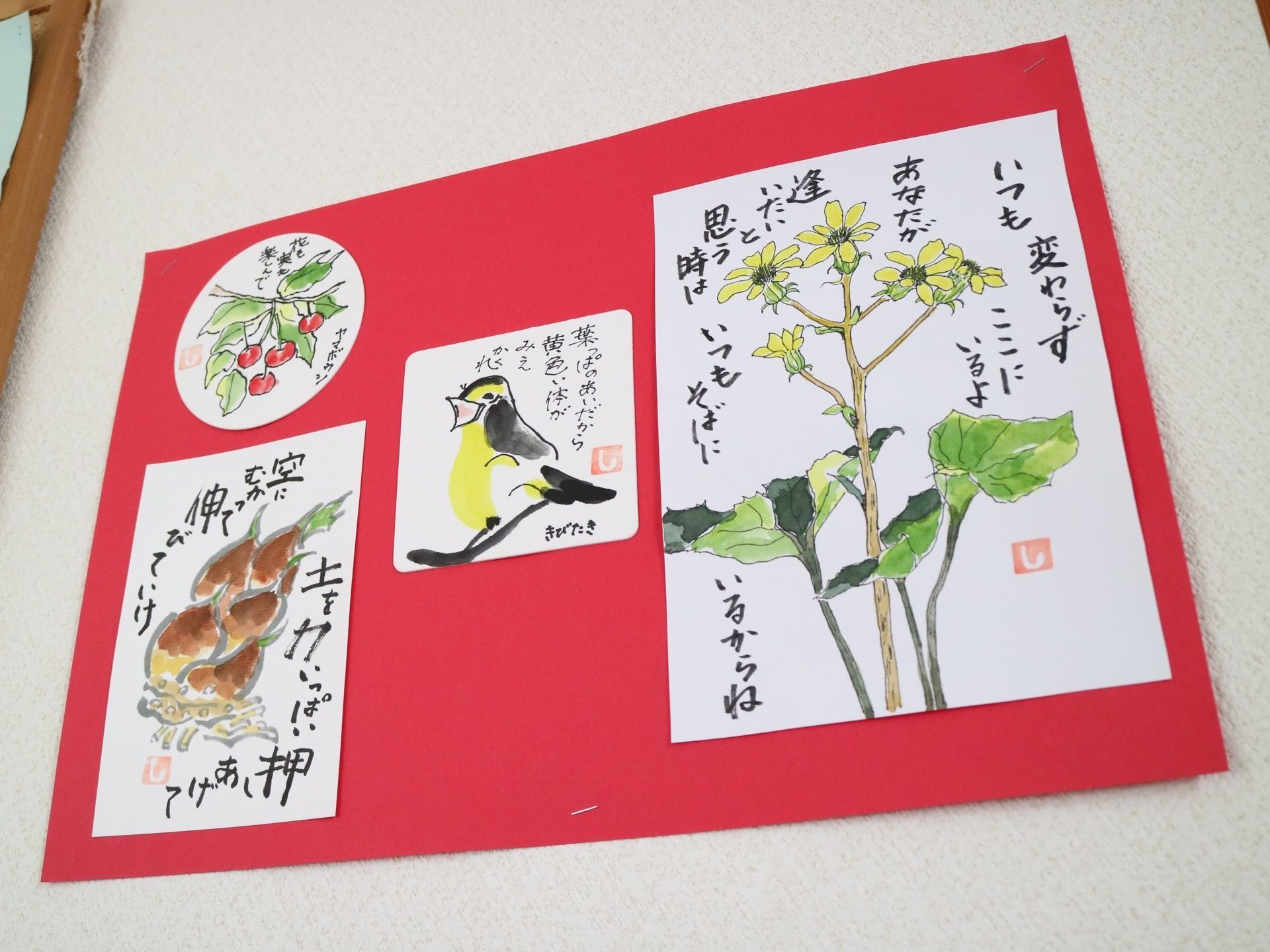 赤色の台紙に４枚の絵手紙の作品を貼り付けたものが壁に飾られている。草花や動物の絵がカラフルな色彩で描かれている。