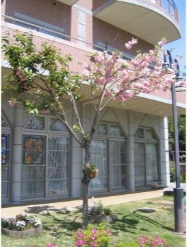 敷地内に植えられている植物が、花をつけている。１、２階にある部屋の窓からも、庭の木々や花を眺められる。