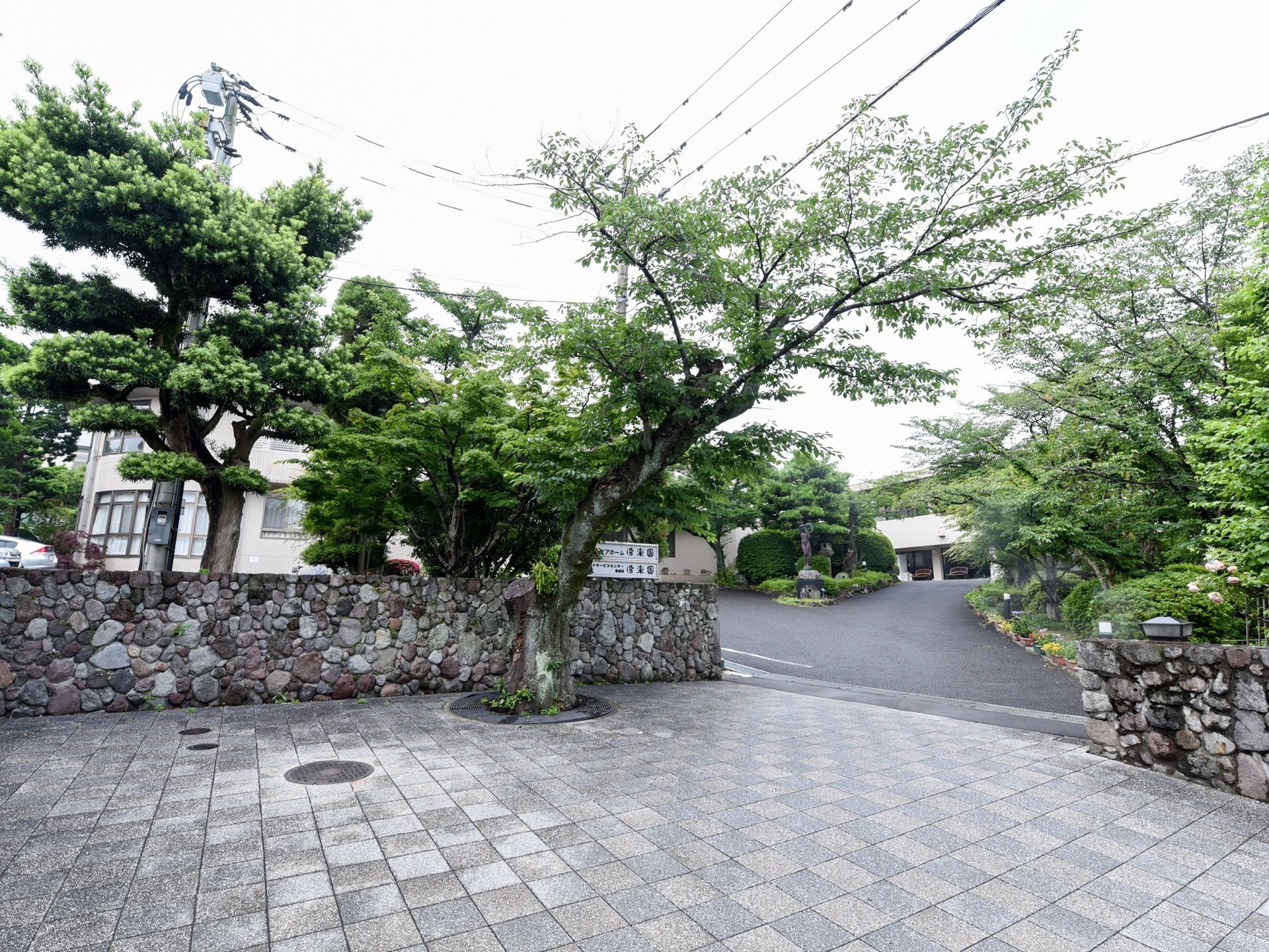 敷地の入口には石垣があり、背の高い木々が植えられている。舗装されたアプローチがあり、その奥に建物が見えている。