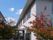 施設の建物の周りには、紅葉した木々が見られてとても美しい。建物の裏側には窓が並んでおり、窓からの景色を見て四季が感じられそうである。