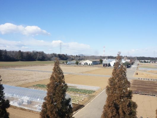 施設からの景色