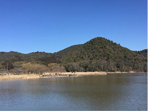 広沢池は、日本３沢の１つにも数えられる。広大な池を眺めて自然に親しみ、都会の喧騒から離れることができる。
