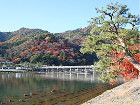 渡月橋は、桂川と中ノ島公園にかかる橋である。施設は、屈指の観光名所を身近に楽しむことができる好立地にある。