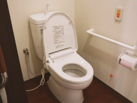 落ち着いた雰囲気で清潔感のあるトイレである。手すりやナースコールを完備しており、安心してご利用いただける。
