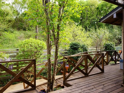 緑あふれるウッドデッキ