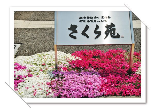 彩り豊かな花壇看板