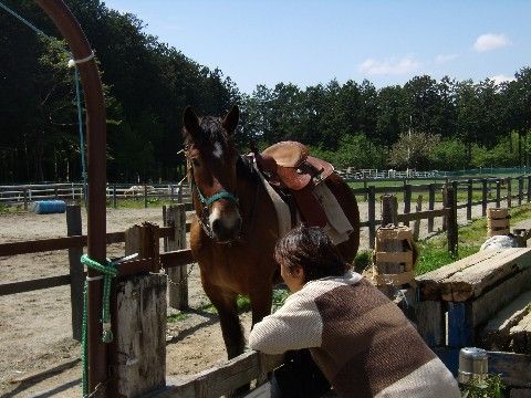 「ナーシング・ケアホ－ム 風凛館」の周辺環境。千本松牧場がある。