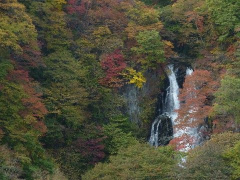 「ナーシング・ケアホ－ム 風凛館」の周辺環境。華厳の滝がある。