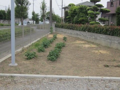 柵で仕切られている庭の一角にある園芸スペース。一部に野菜が植えられており、空きスペースにも植栽が可能である。