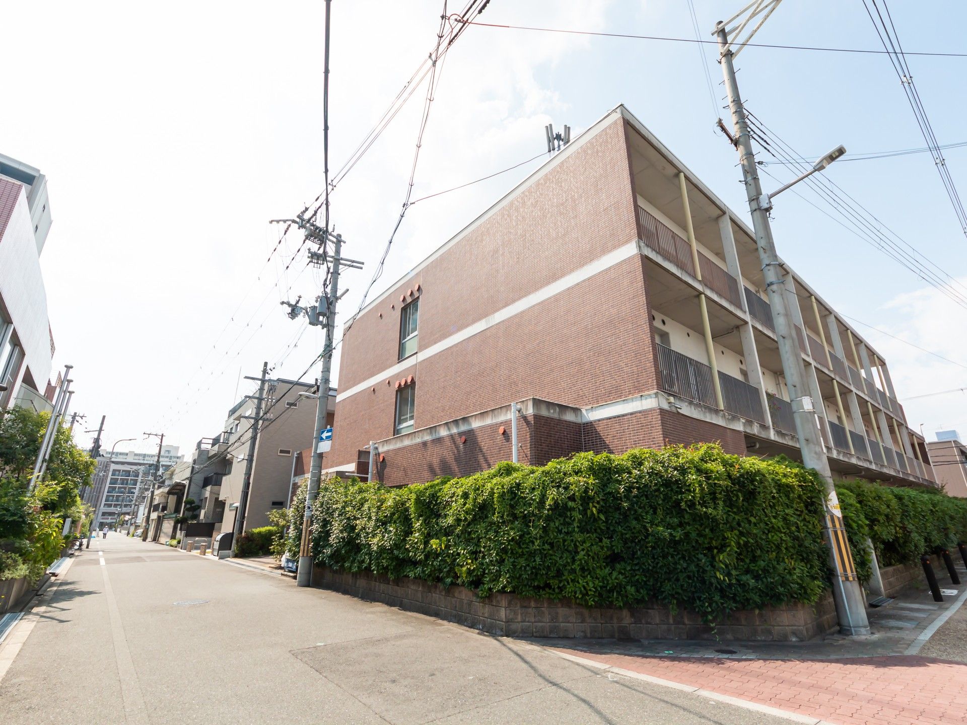 髪に手をやり微笑む高齢女性と後ろで見守る女性ヘルパー