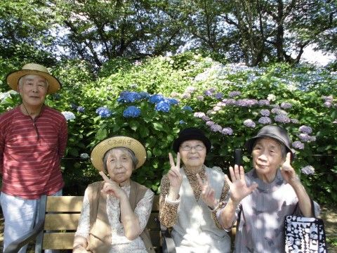 アジサイが咲いた植え込みの前にあるベンチに座ってポーズを取る人