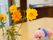 施設の家庭菜園に咲いていたコスモス。テーブルの上に飾られている。隣にはピンクの花が置かれている。空間に色を添えている。