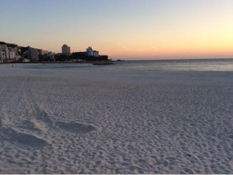 遠くにビルや家が建ち、海に夕日が沈んでいる施設近隣の砂浜